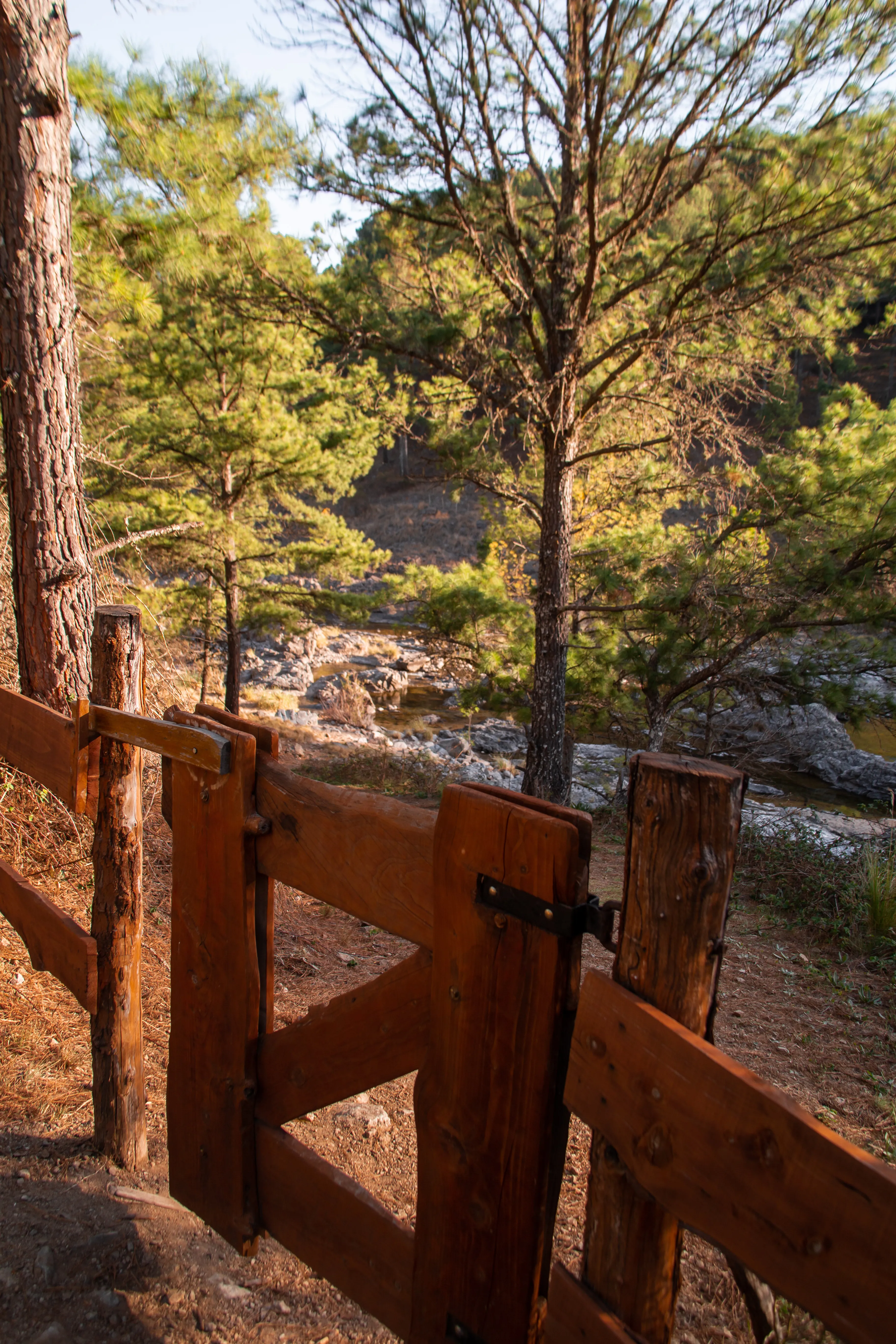 Tranquera de madera al comienzo del sendero que baja al río, entre pinos